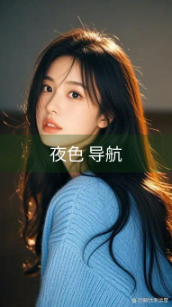 夜色 导航